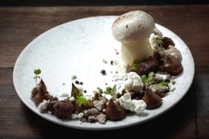 22 Ships - Texturas de Chocolate