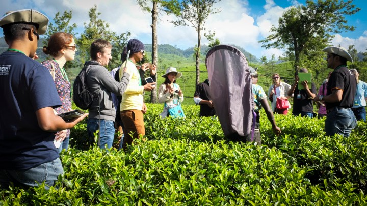 I am in the white t-shirt