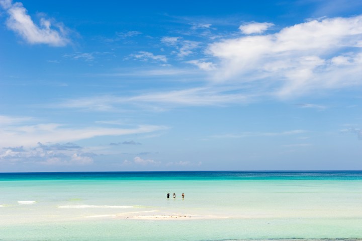 This, and cover picture, courtesy of Vamizi.